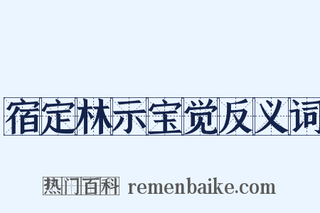宿定林示宝觉反义词是什么意思的图片